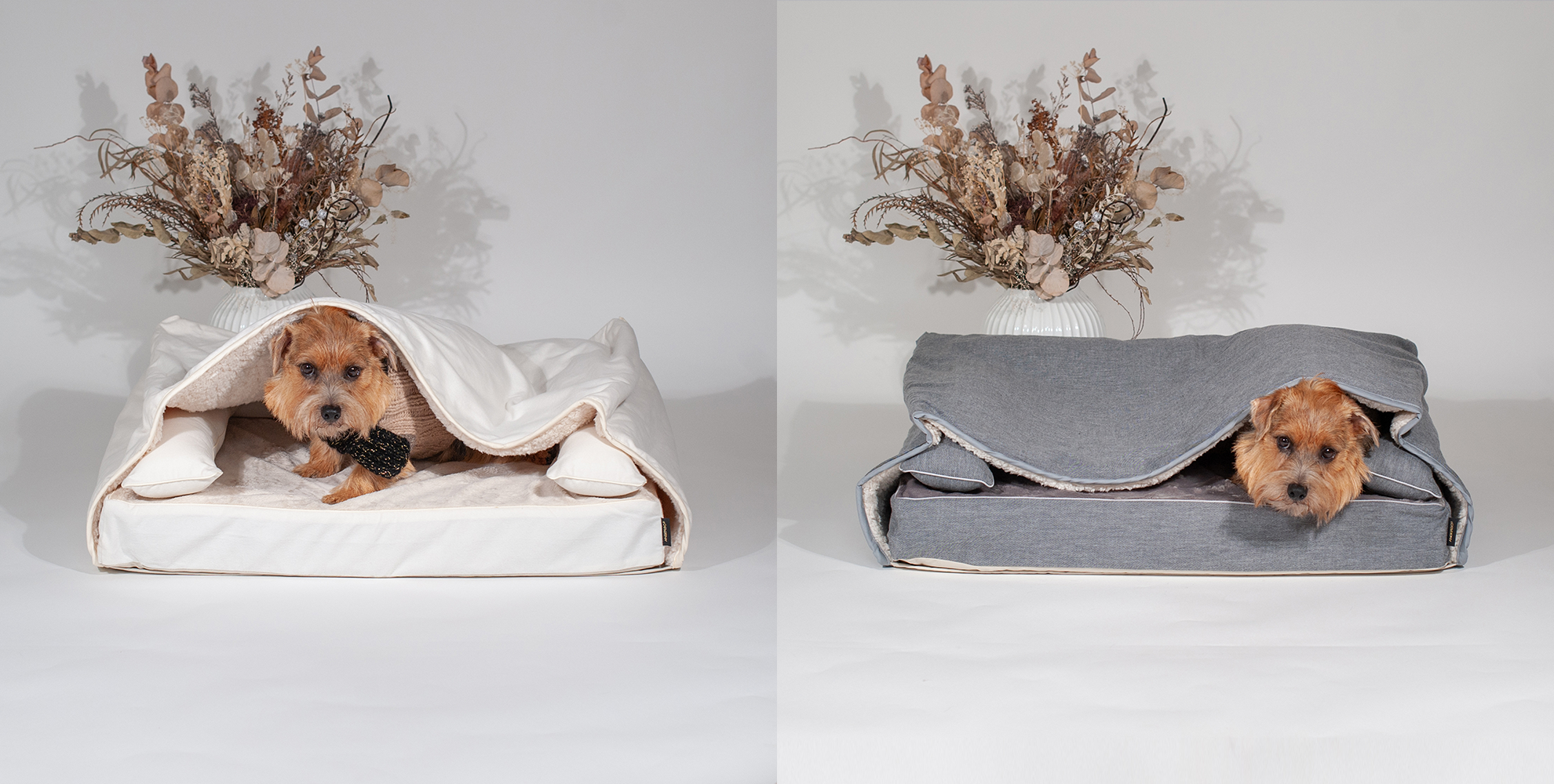 犬用ベッドならアンベルソのロイヤルベッド | 日本製・洗える高級ベッド