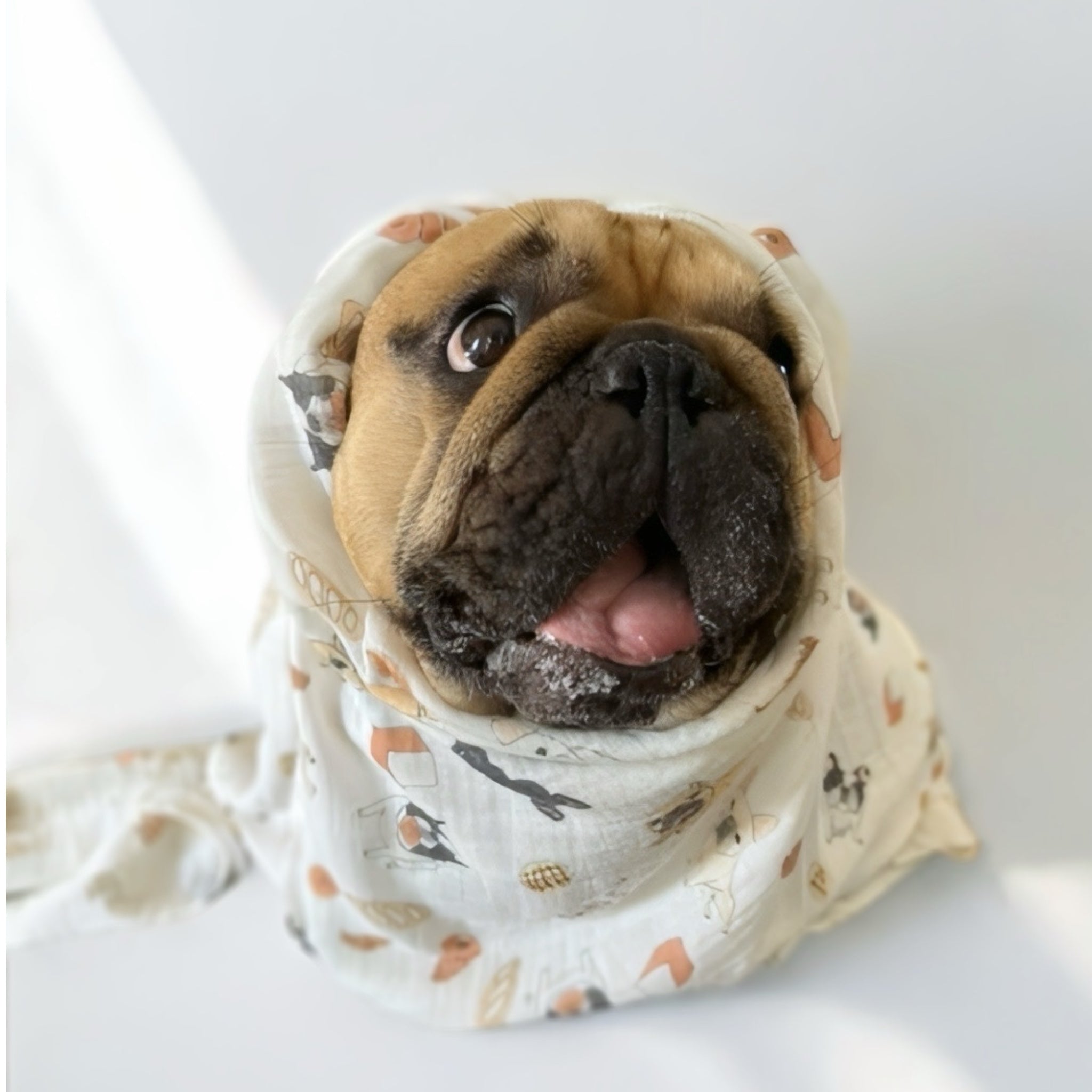 andCharlie ブランケット 未使用品 フレブル柄ブランケット おしゃれな