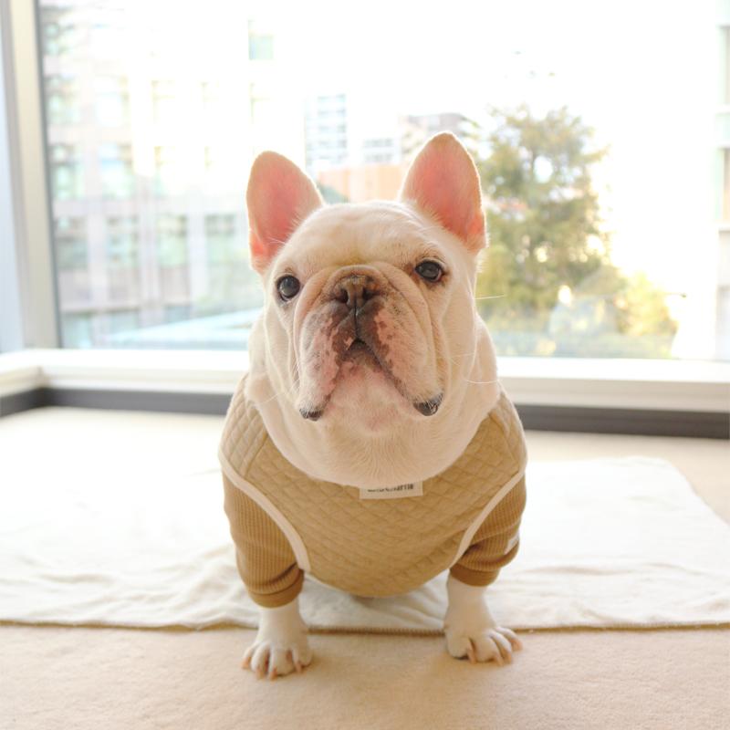 フレンチブルドッグ服専門店ブランド｜フレブル服andCharlie