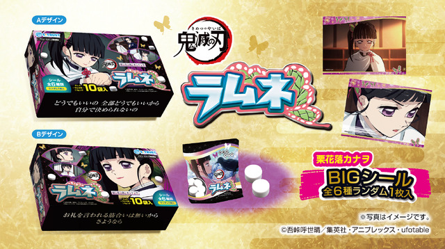 鬼滅の刃」栗花落カナヲ“言われたとおりに鬼を斬るだけ”― 名場面シール