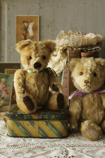 アンティークベア zotty ゾッティ ヘルマン Hermann ドイツ 20180911