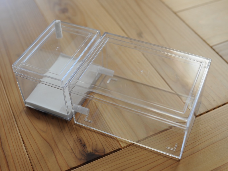 アリの巣飼育ケースを自作！百円均一の材料で作成する方法【石膏巣