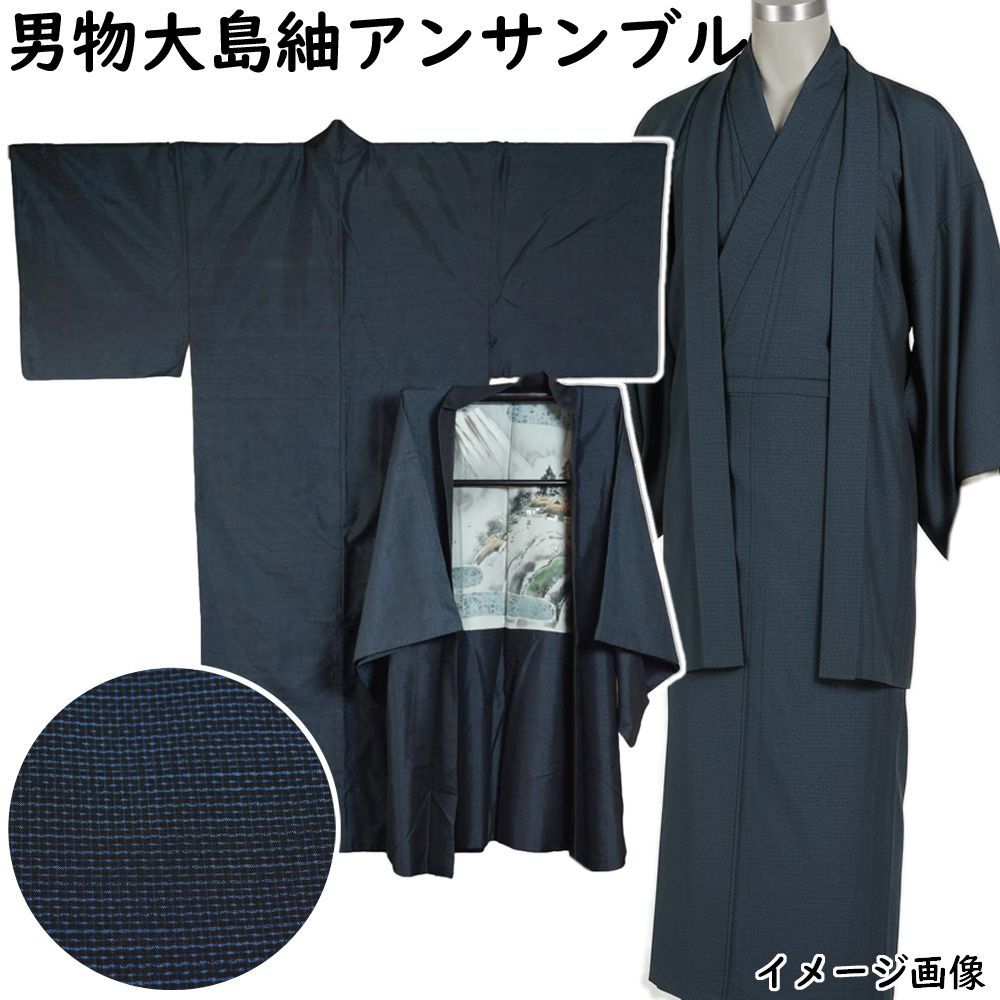 6567❫ ❦ 大島紬 (正絹) ❦ 短冊 【ちどりや】美品 正絹 大島紬 横双絣 袷