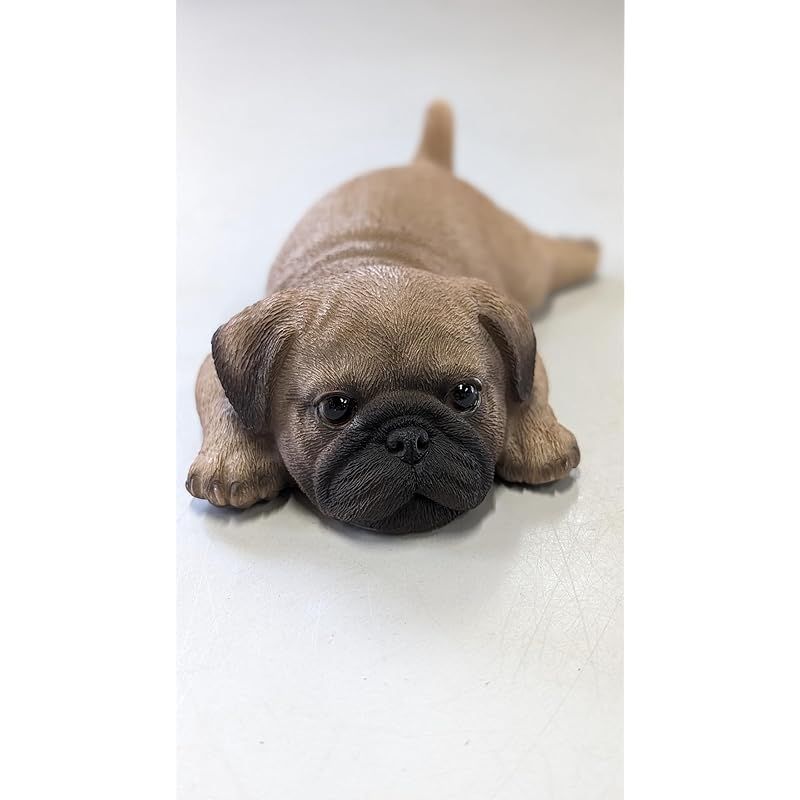 西サモア 1986年 純銀記念硬貨 5トロイオンス