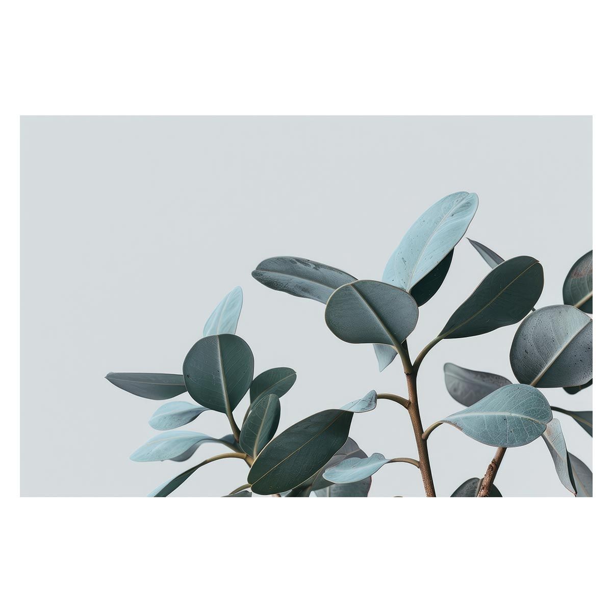 龍脈の精髄 水晶クラスター 「光を宿す透明なる守護」 九州産国産水晶