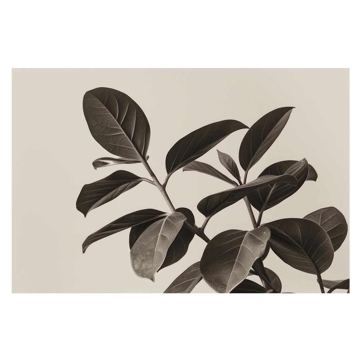 B1サイズ（約73x103cm）】【lh-poster-4578】植物 グリーン 注文