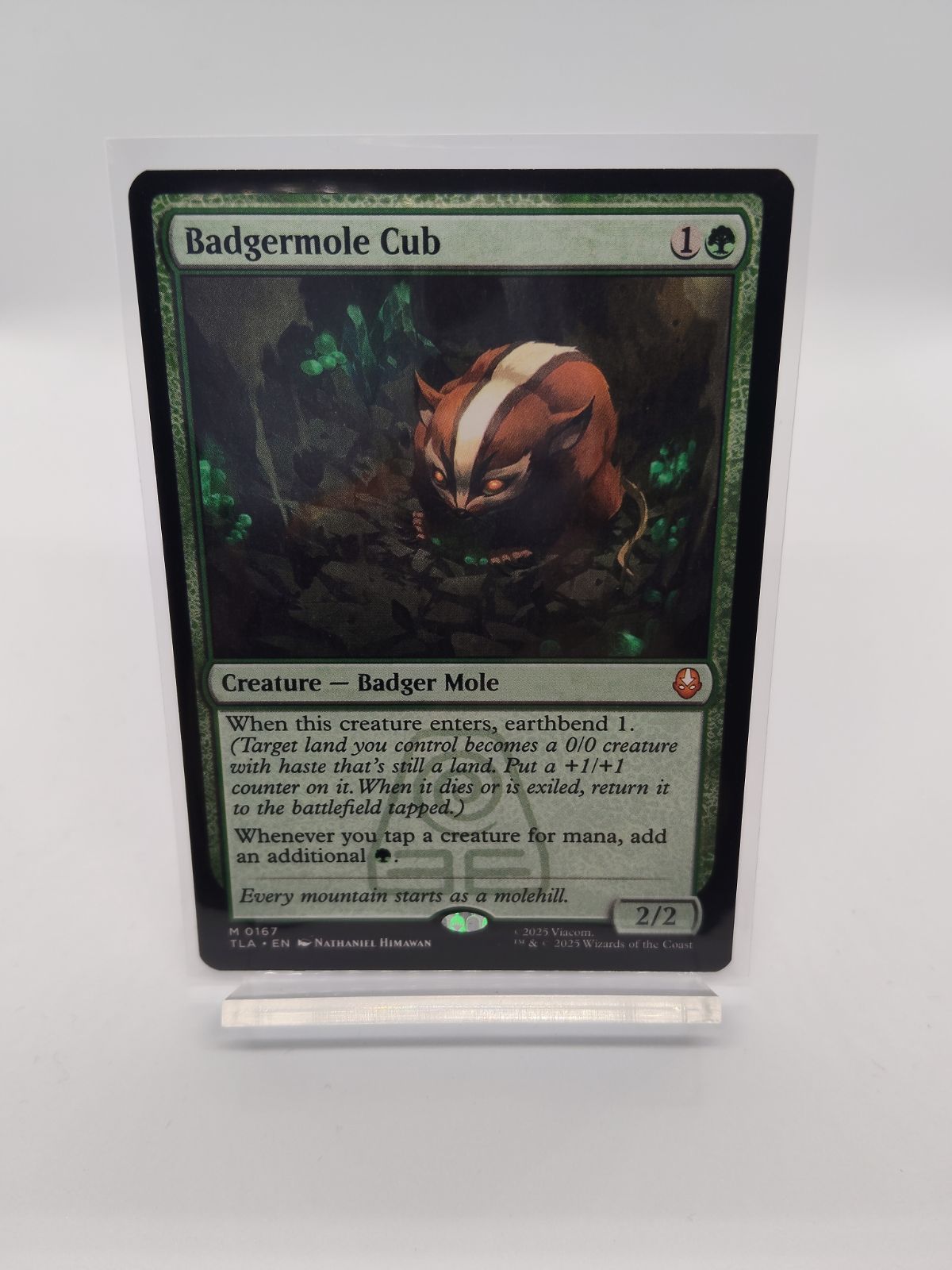 アナグマモグラの仔 Badgermole Cub 3枚 mtg 英語 MTG アナグマモグラ