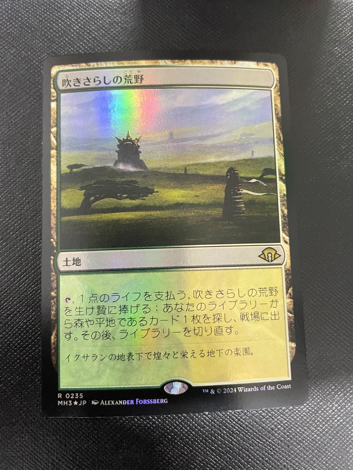 MTG・土地】吹きさらしの荒野（FOIL） - メルカリ
