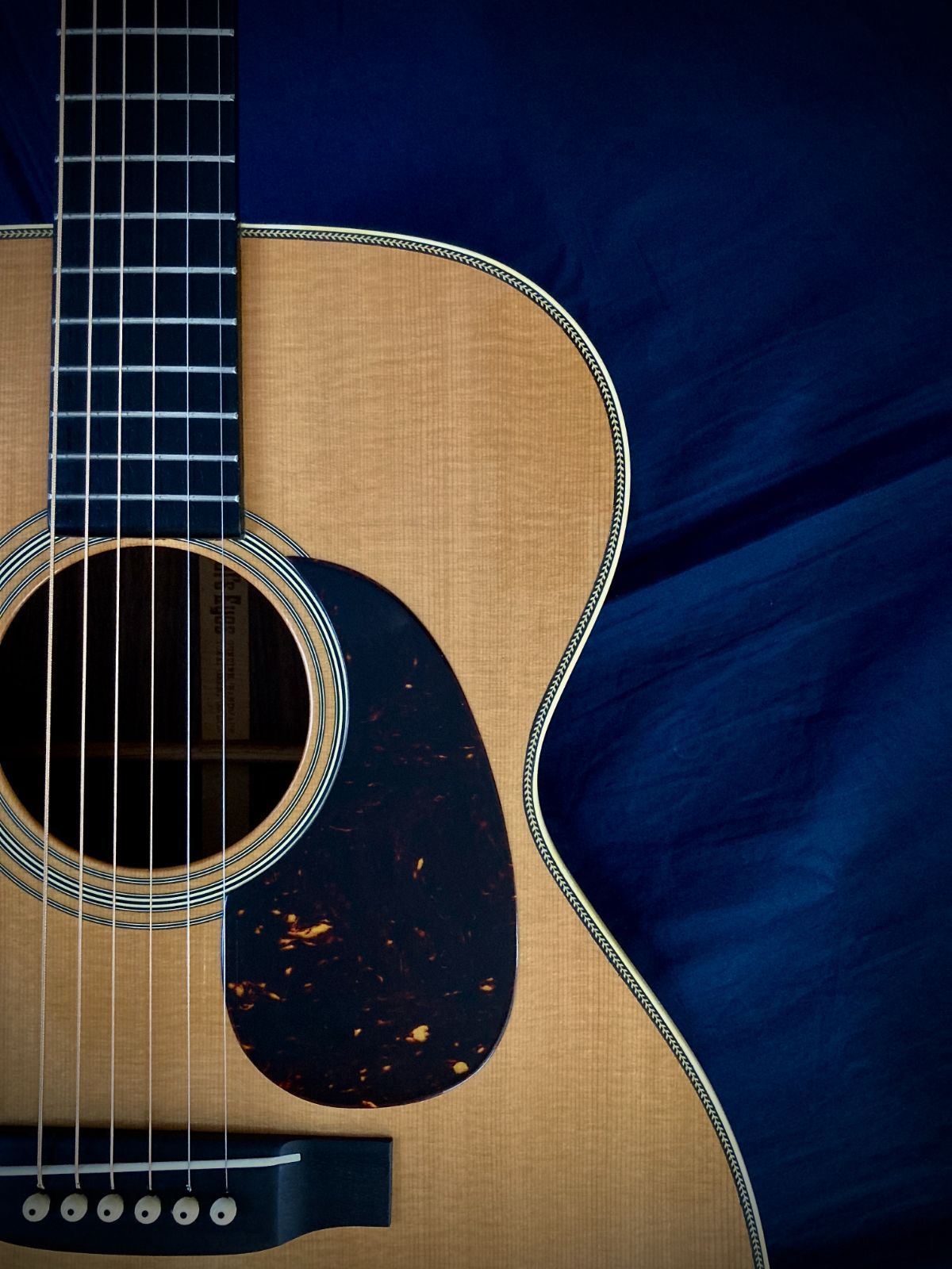 ☆彫刻ギター Cat's Eyes CEシリーズ 舞台にストリート演奏とオブジェ