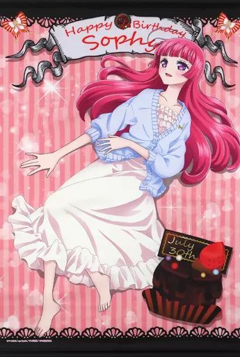 北条そふぃ」検索結果 | アニメイト プリパラ そふぃ グッズセット