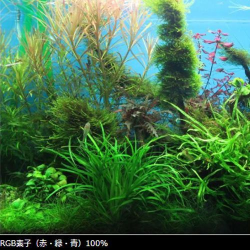 Chihiros LED C2 RGB ラボック 千尋 チヒロス