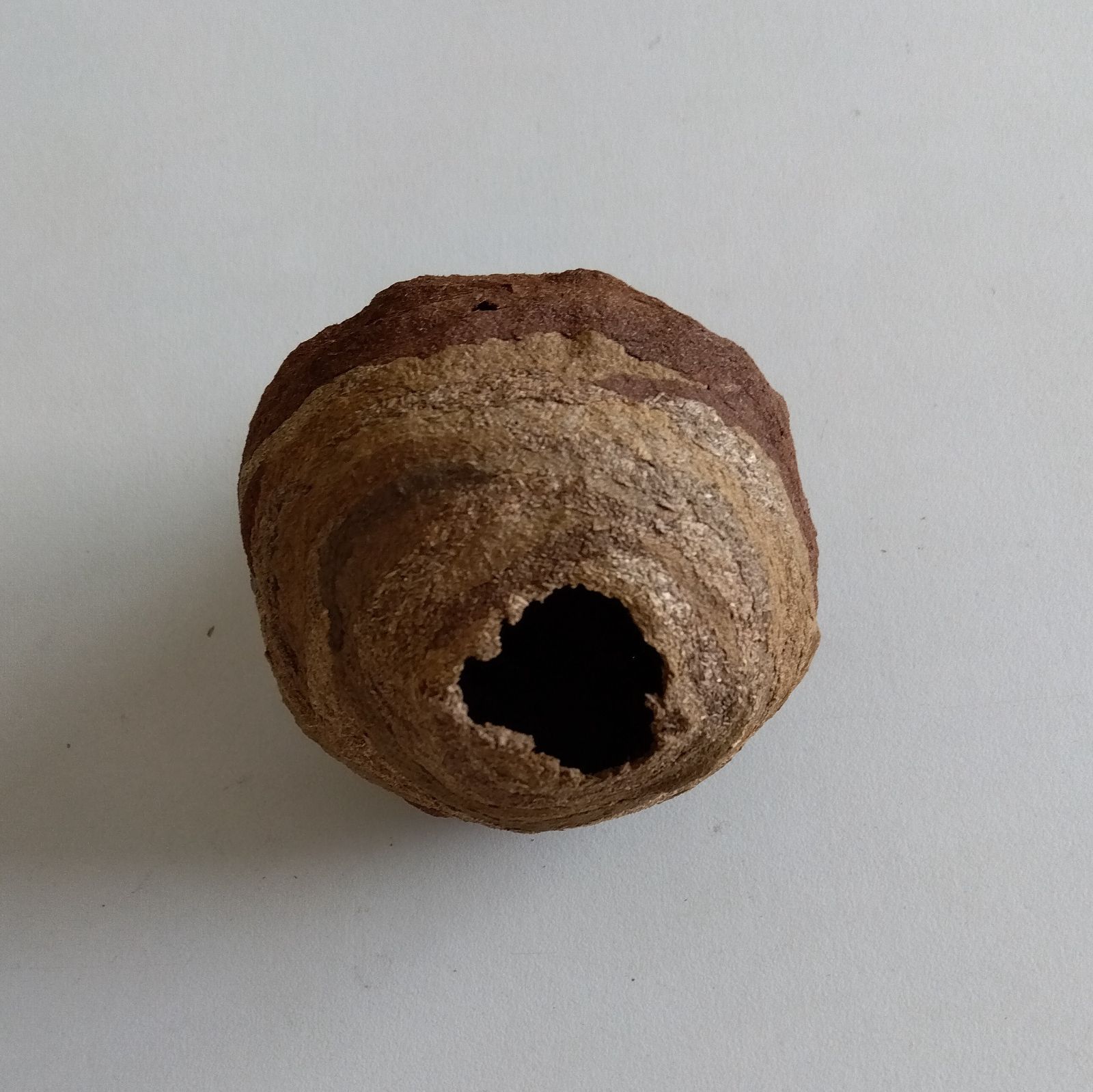 甕 素焼き スズメ蜂の巣模様 エリー242 甕 素焼き スズメ蜂の巣模様