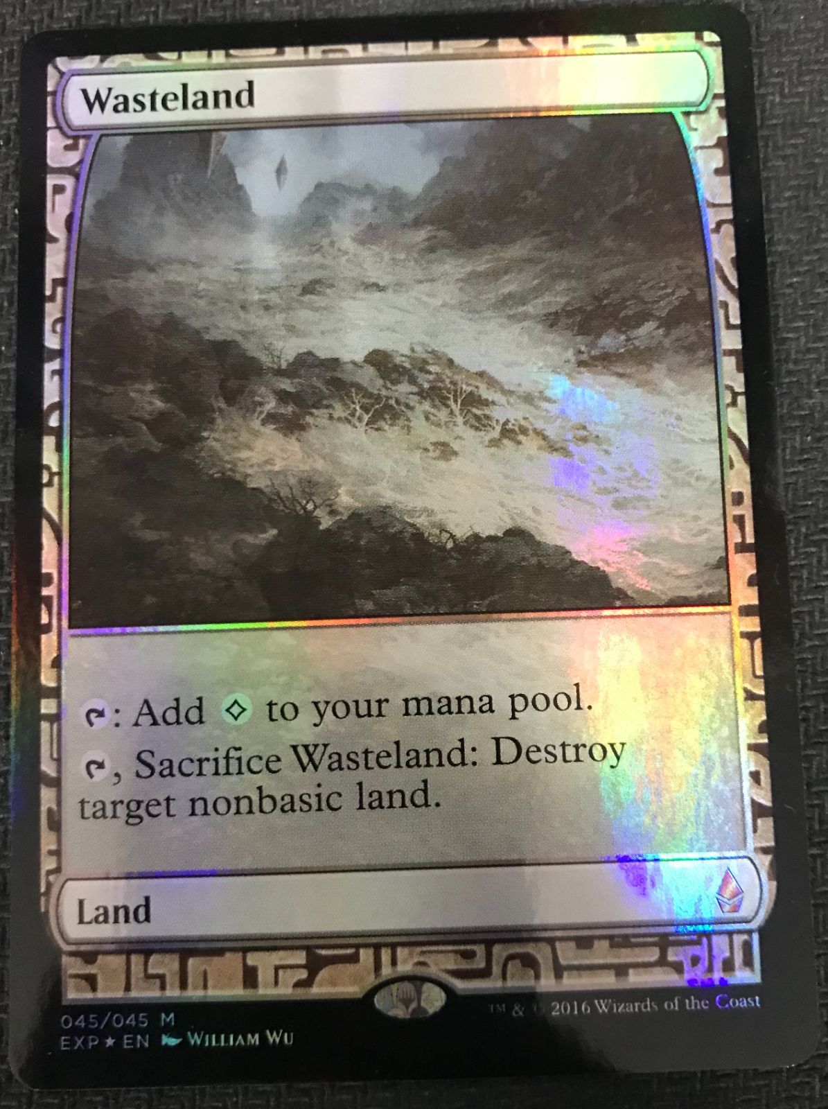 MTG 不毛の大地 英語 Wasteland Foil EPX エクスペディション - メルカリ