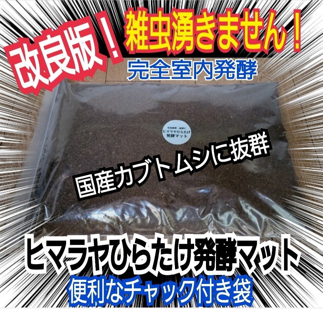 国産カブトムシ幼虫が大きくなる！発酵マット☆栄養添加剤入り！ダニ