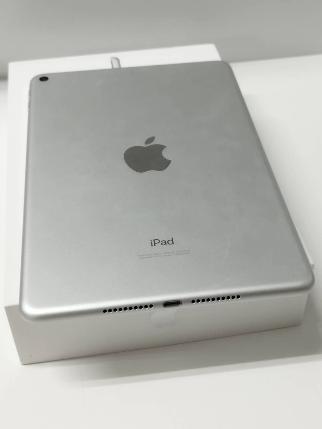 Wi-Fiモデル】iPad mini 第5世代/64GB/A2133〈MUQX2J/A〉-玄関飾り 木