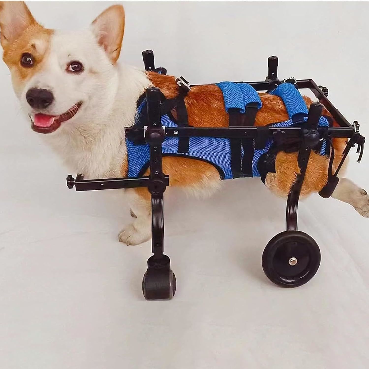 小型ワンちゃん4輪 リハビリ 食事補助 犬用車椅子 介護補助 犬の歩行