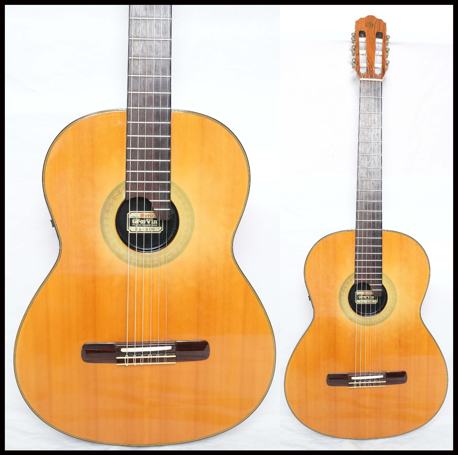 ノーブランド morris Groovin'タイプ サイレントソリッドエレガット