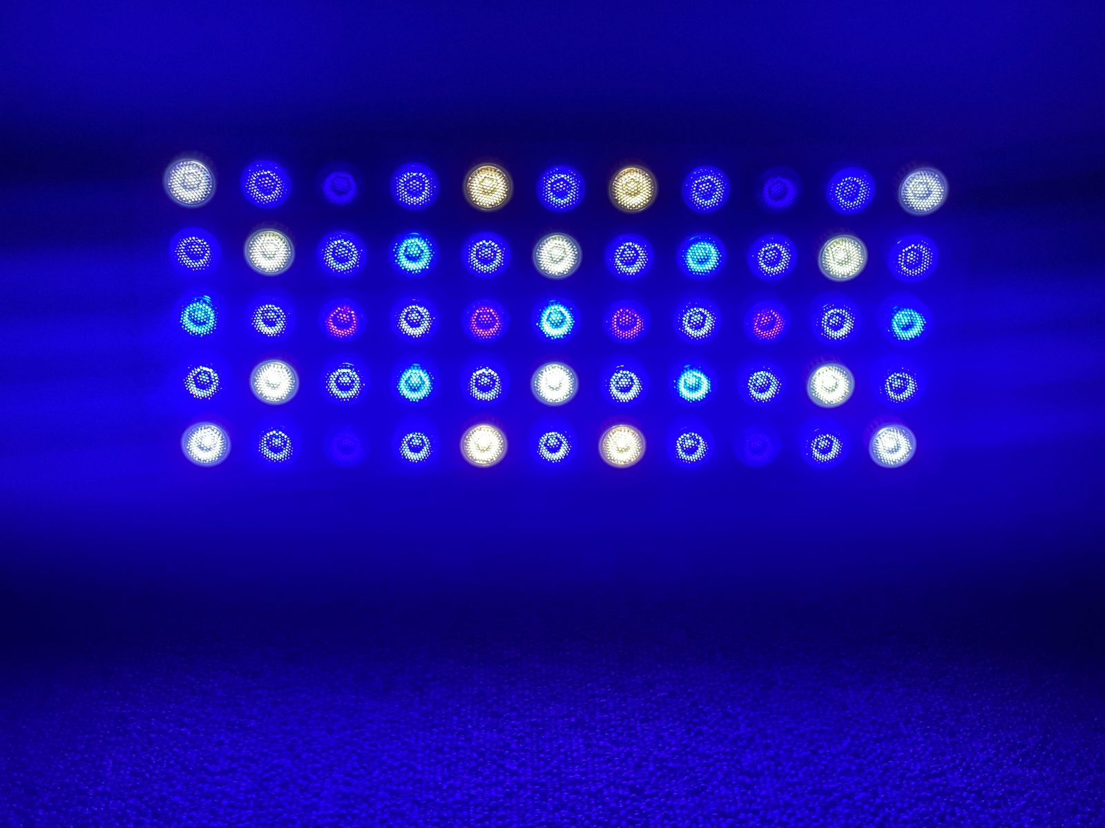 ブラックボックス LED 165w 4/4以降9,500に戻します 珊瑚水槽照明 LED