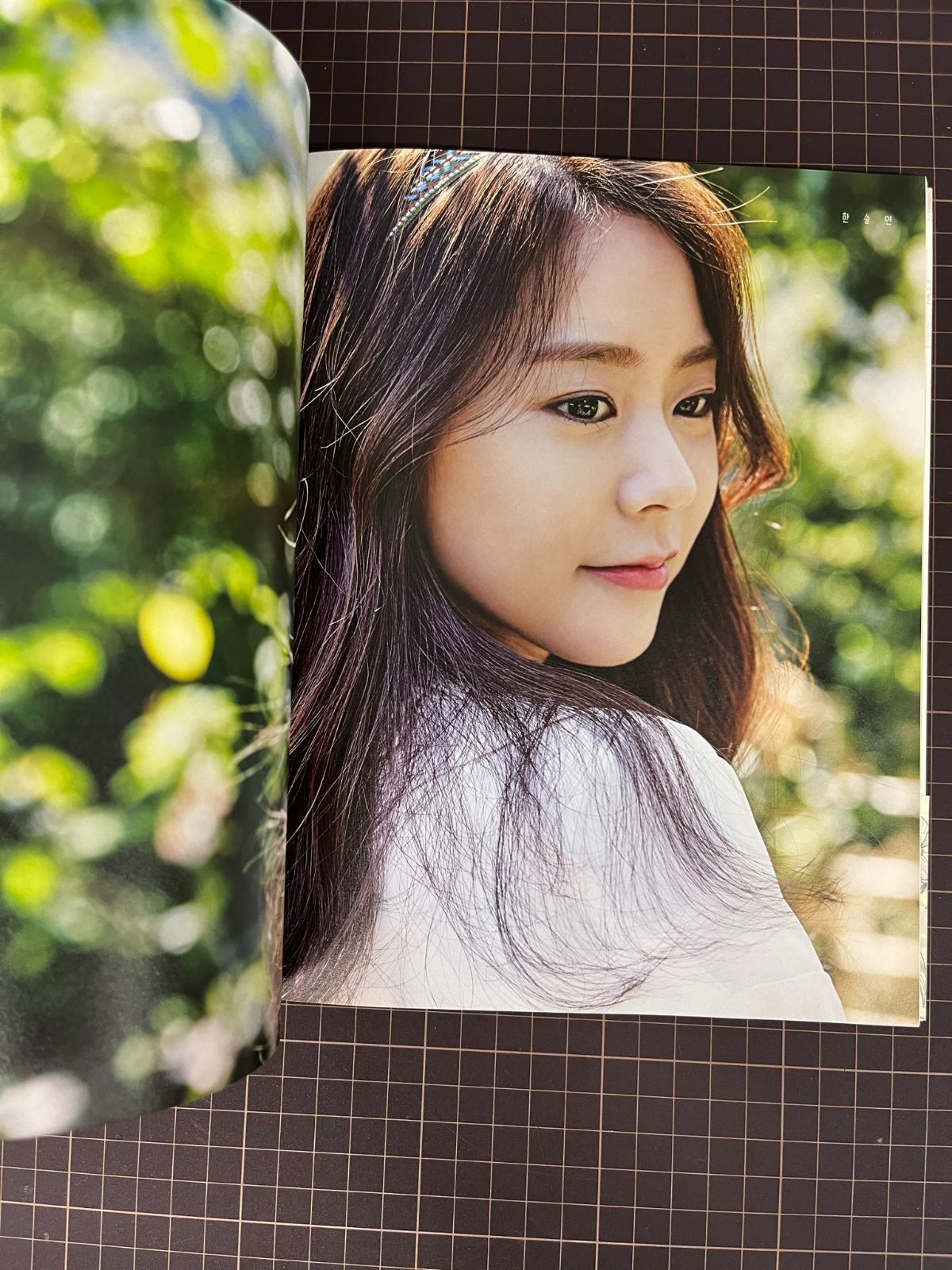 KARA スンヨン 写真集 韓国版 b*3様 KARA スンヨン 韓国 ファン 写真集