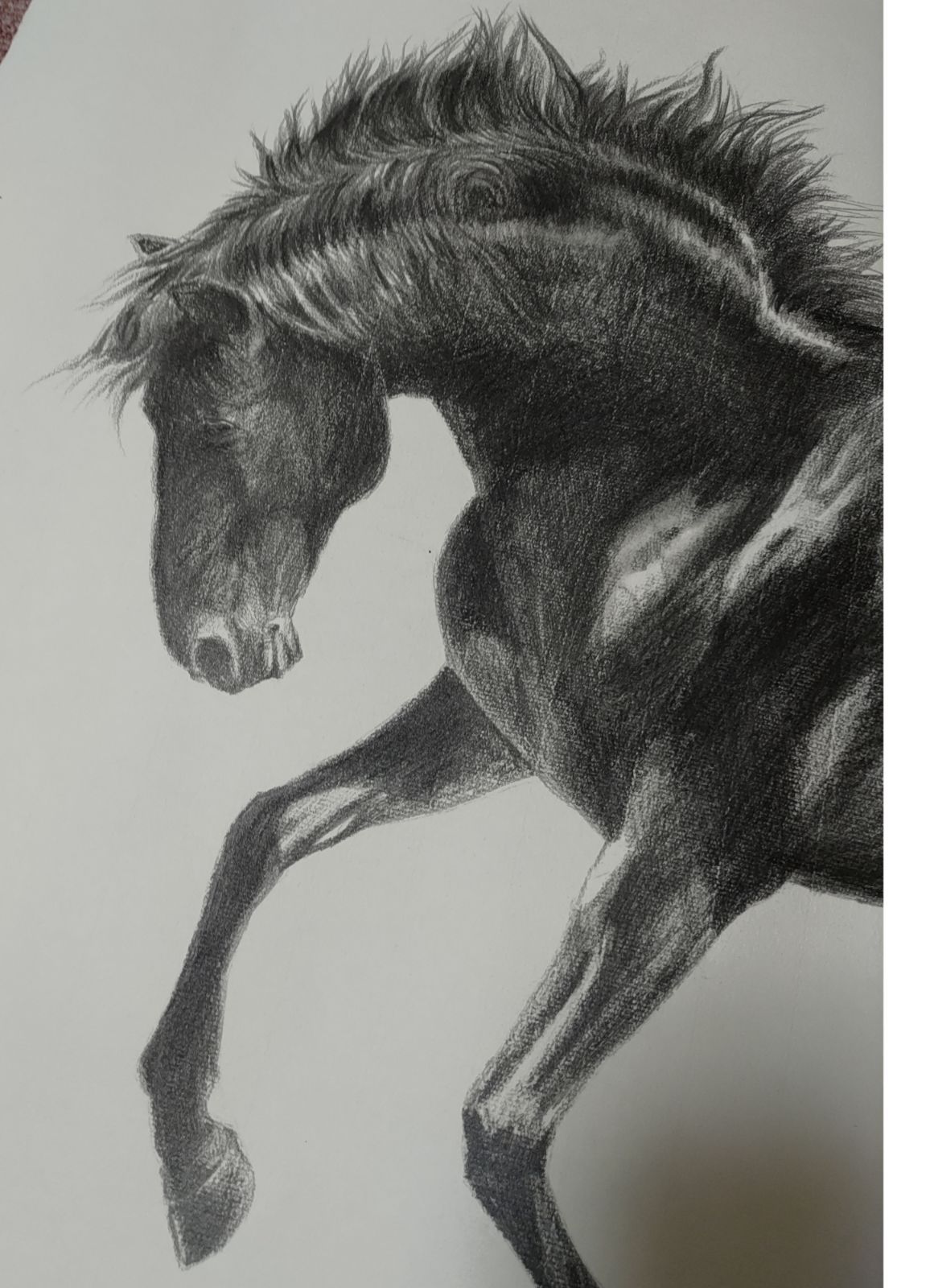リアルな馬の鉛筆画 鉛筆画 馬の絵（全身） - メルカリ