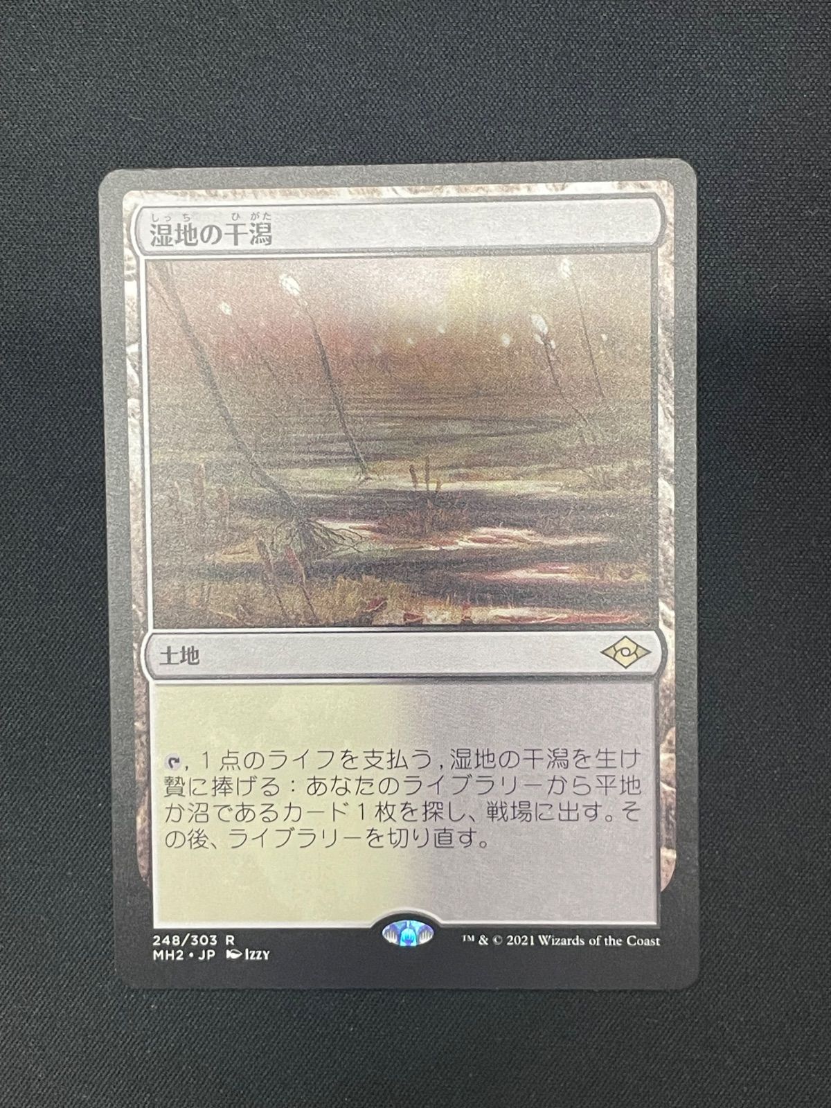 湿地の干潟 zen foil Foil】《湿地の干潟/Marsh Flats》[ZEN] 土地R