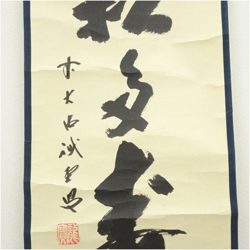 前大徳 藤井誡堂筆 「青松多寿色」一行書 肉筆紙本掛軸（共箱） 掛け軸