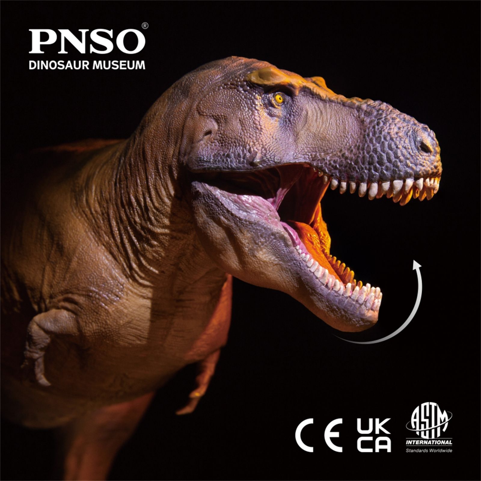 PNSO 恐竜博物館 1/35 サイズ ティラノサウルス T-REX フィギュア