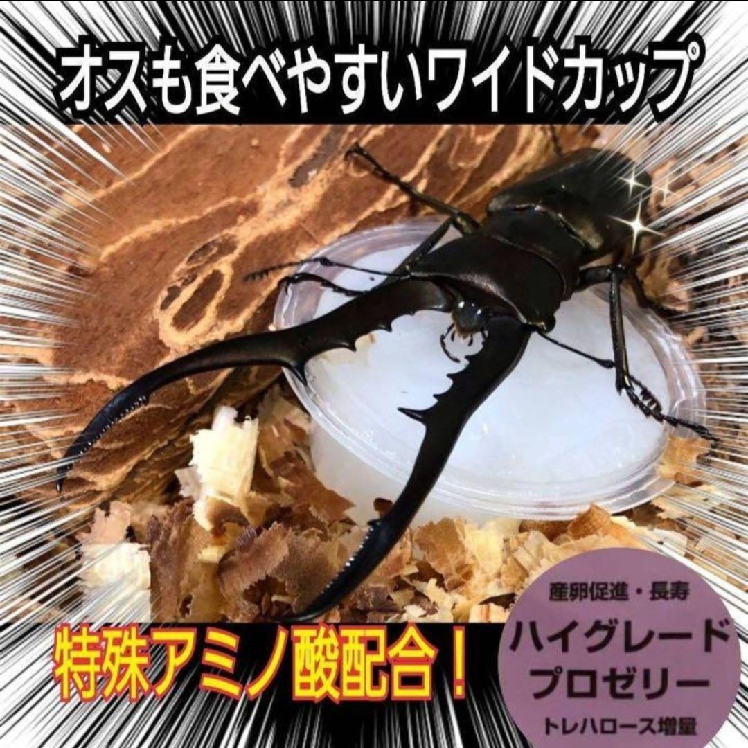 特選ハイグレードプロゼリー500個☆産卵促進・長寿に抜群！食べやすい