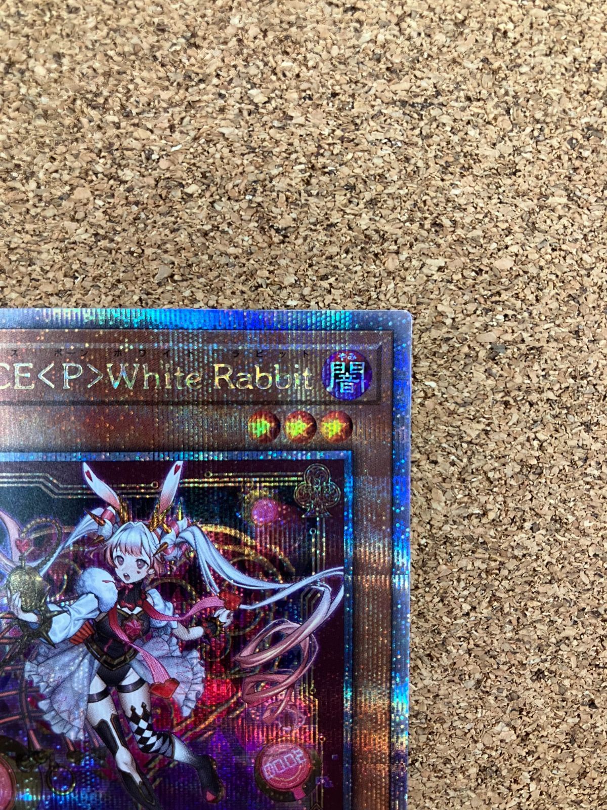 M∀LICE＜P＞White Rabbit ホワイトラビット 25th アジア版 M