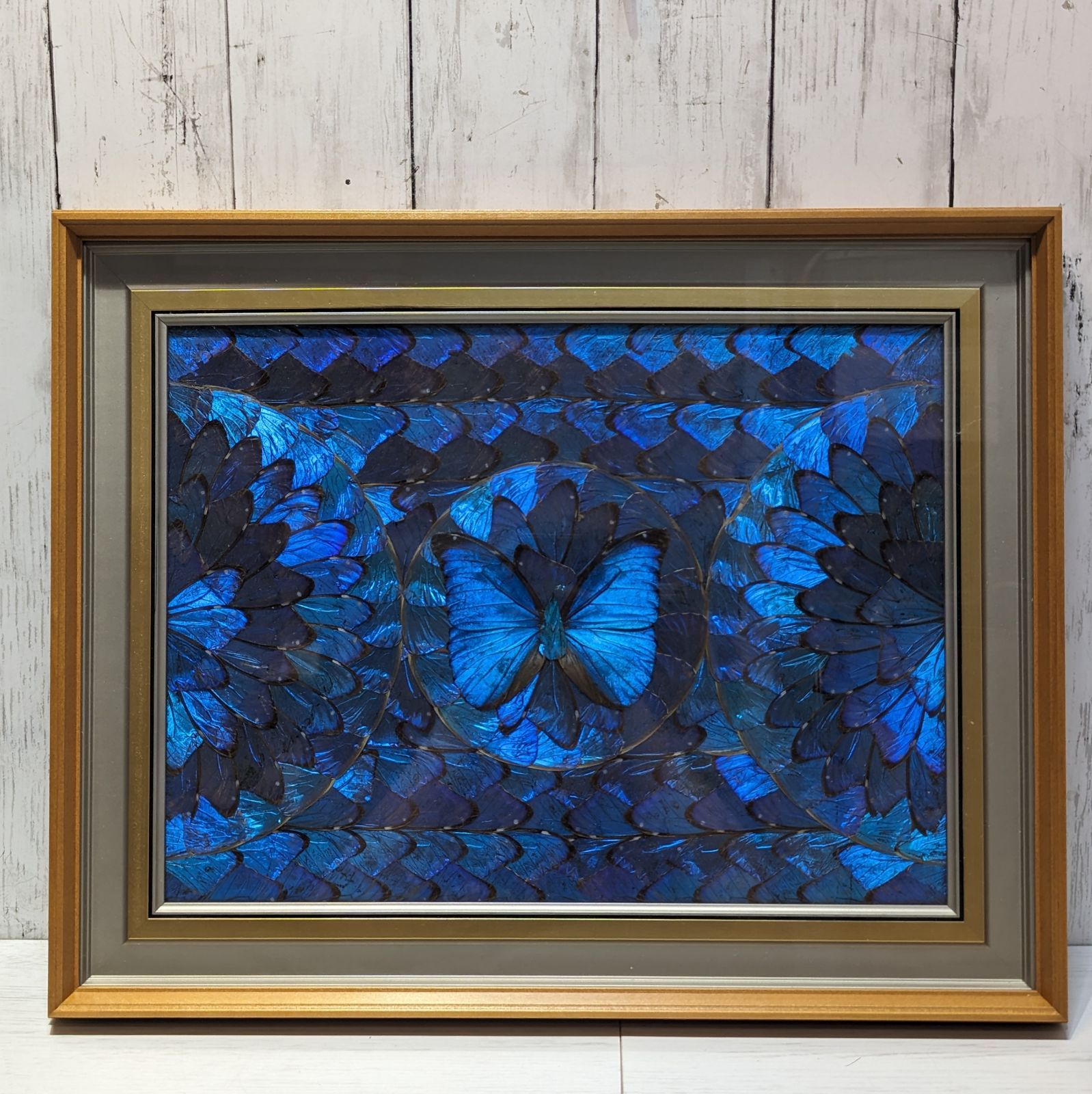 モルフォ蝶 絵画 羽絵アート 額縁 モルフォ蝶 蝶画 羽根細工 蝶絵画額