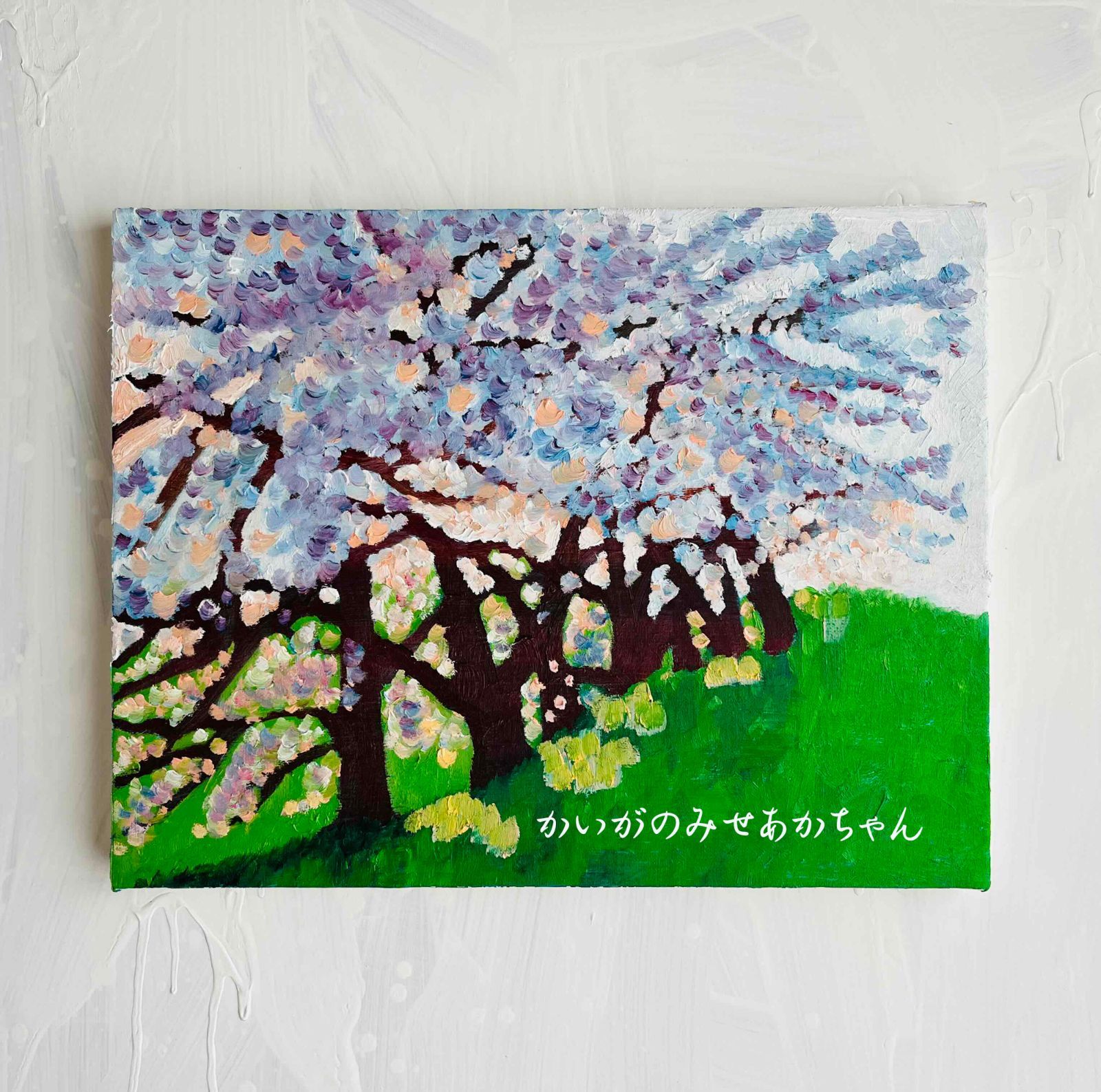 41㎝角「朝の桜」油彩・原画・S6 41㎝角「朝の桜」油彩・