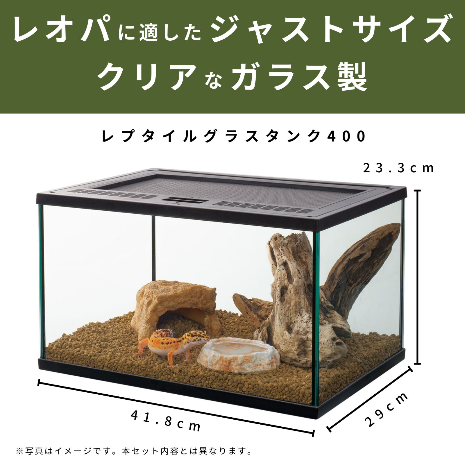 爬虫類 ケージ⑥