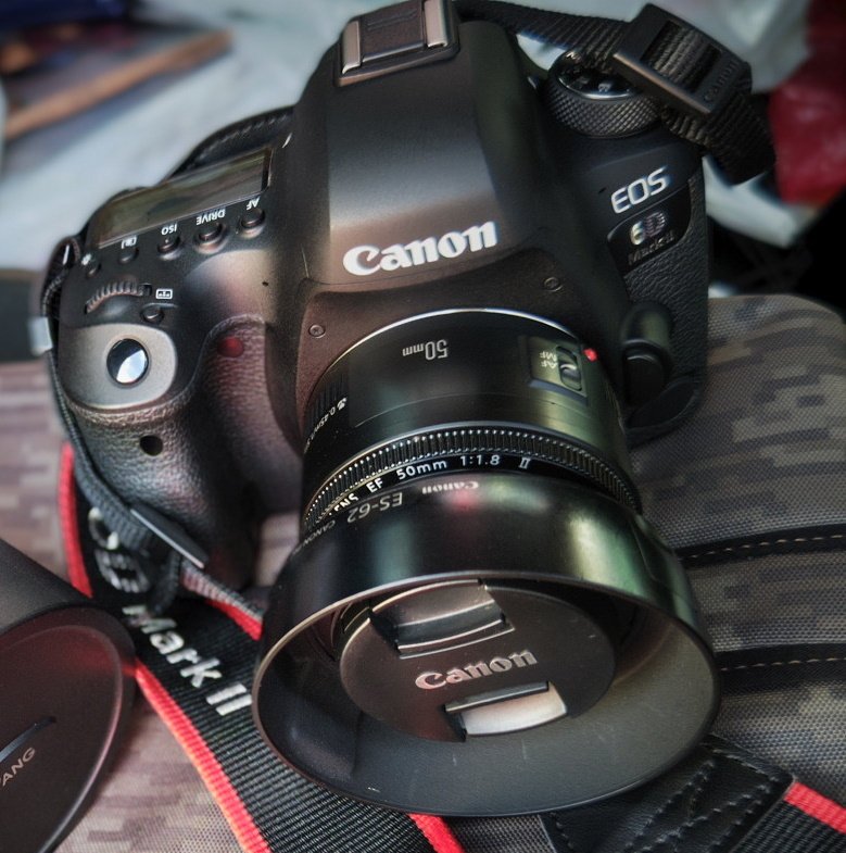 Canon EF 50mm F1.8 STM✨単焦点✨一眼レフ✨インスタ映え Amazon.