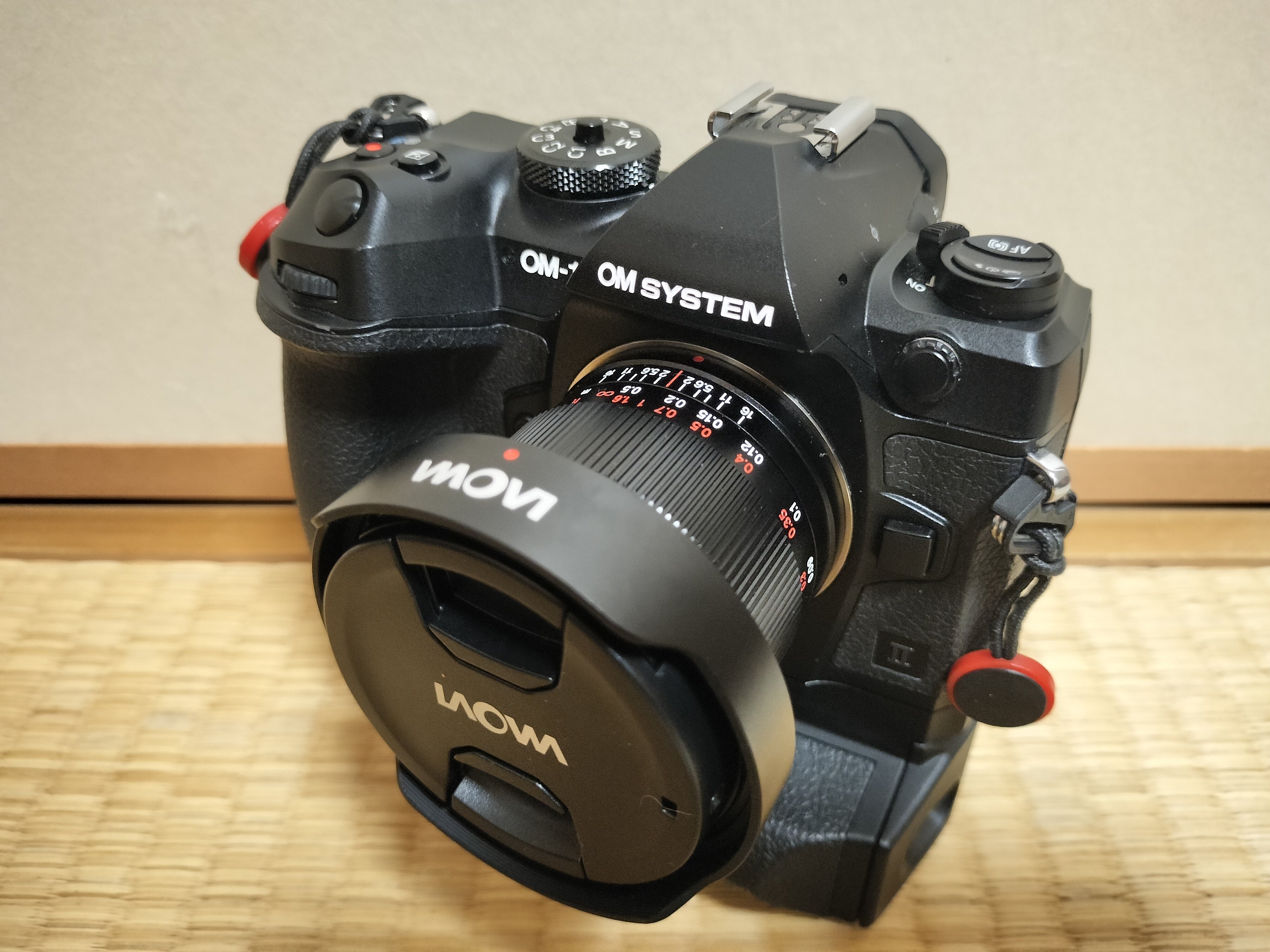 LAOWA 6mm F2 ZERO-D MFT レンズレビュー / OM SYSTEM｜もみじ卍ゅう