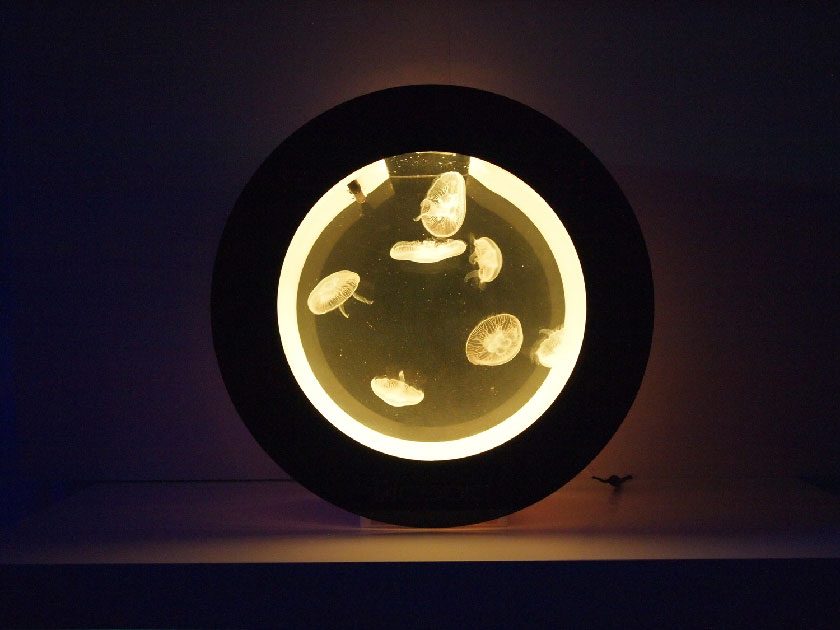 Orbit20｜Cubic｜MMC企画 レッドシー事業部