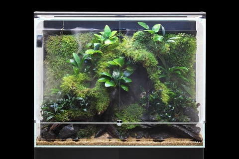 ADA dooa パルダライト60 ADA dooa パルダライト60 SYSTEM PALUDA