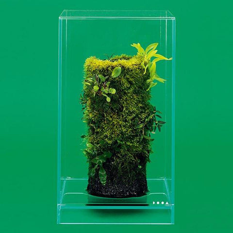 DOOA NEO GLASS AIR W20xD20xH35cm (fits terra base 230) – Aqua