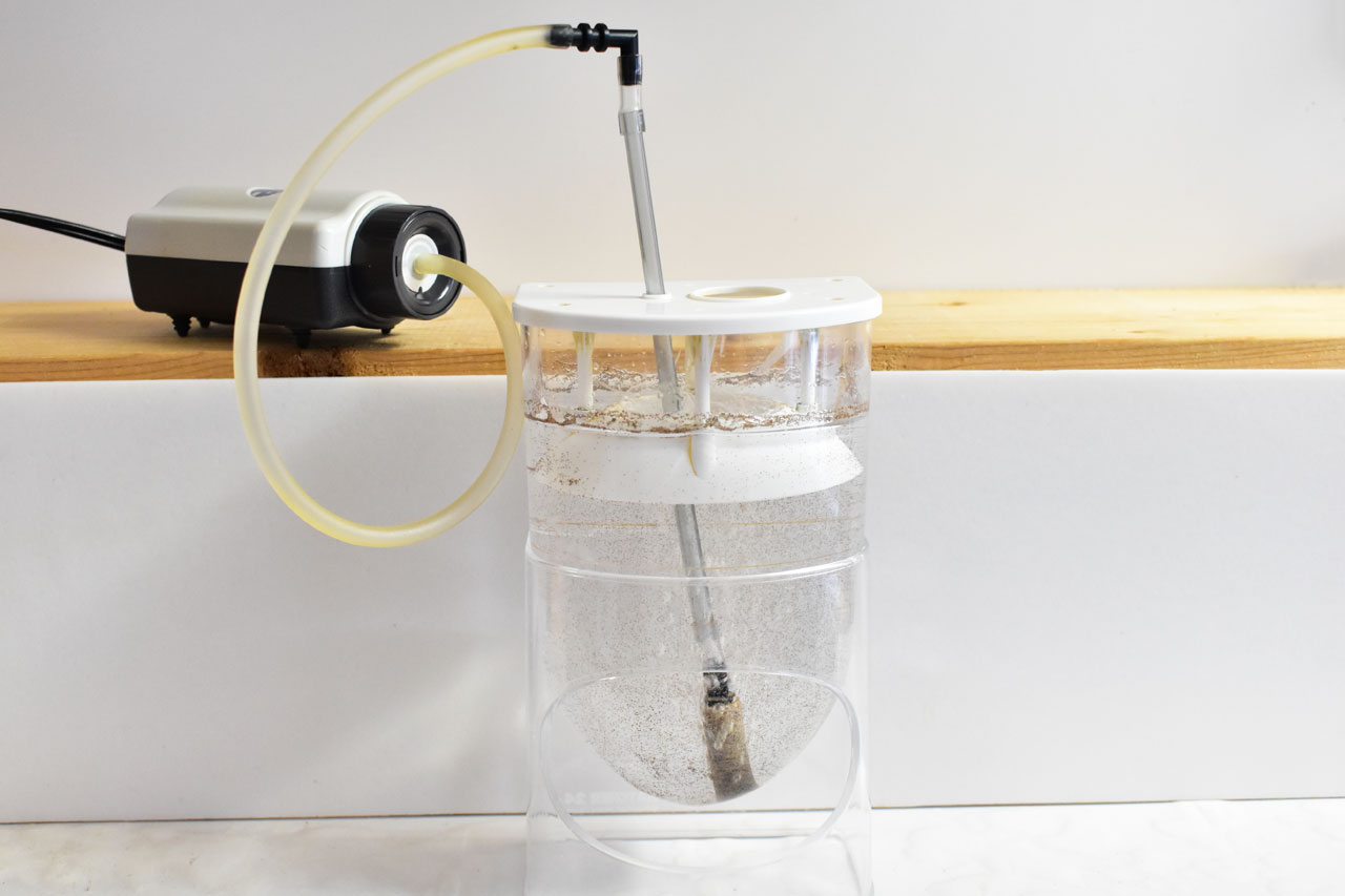 ブラインシュリンプの基本ガイド。沸かし方や与え方など – アクアトーチ