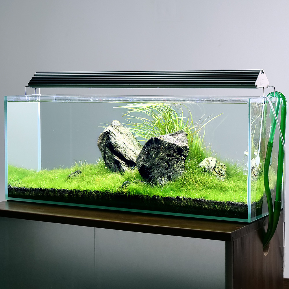 60cm水草水槽セット （水草後から） キャビネット付│ 水草水槽 60cm