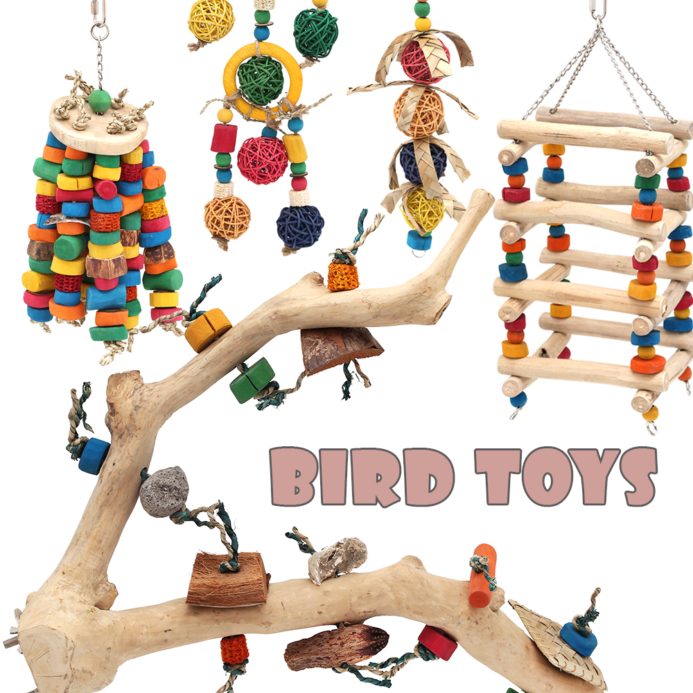 チャームオリジナル！大型鳥のおもちゃ特集 | チャーム