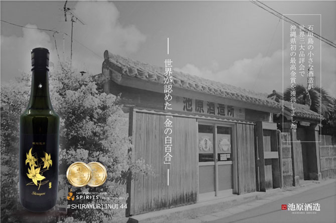 あらぴー 白百合の古酒！！ 44度 11年古酒！！ 池原酒造 横取り不可