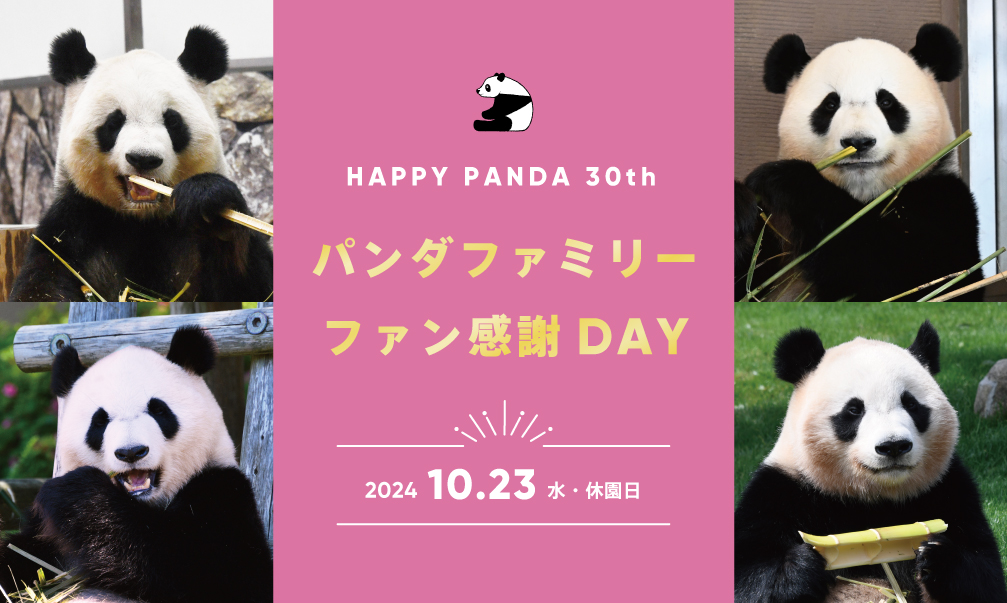 HAPPY PANDA 30th｜30年の感謝とパンダの未来を描く6ヶ月