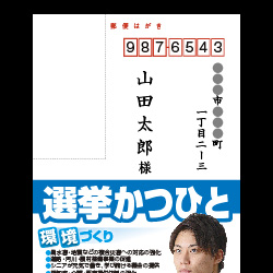 選挙向け公選はがきの宛名印刷を宛名データ入稿から2日印字発送します