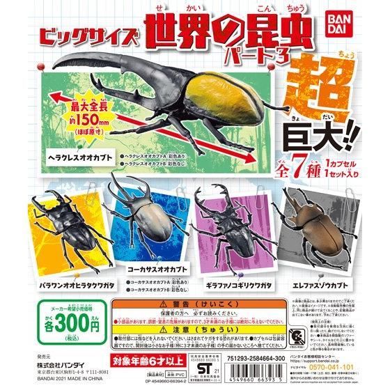 ビッグサイズ 世界の昆虫 パート3｜ガシャポンオフィシャルサイト
