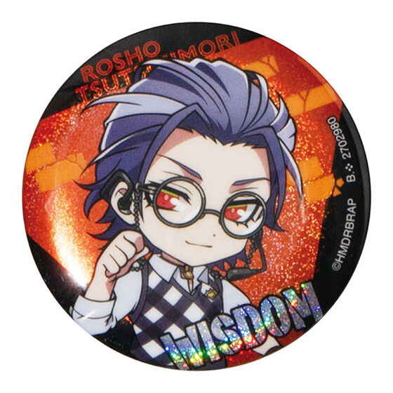 ヒプノシスマイク ヒプマイ Flava2 躑躅森盧笙 缶バッジ 11点セット