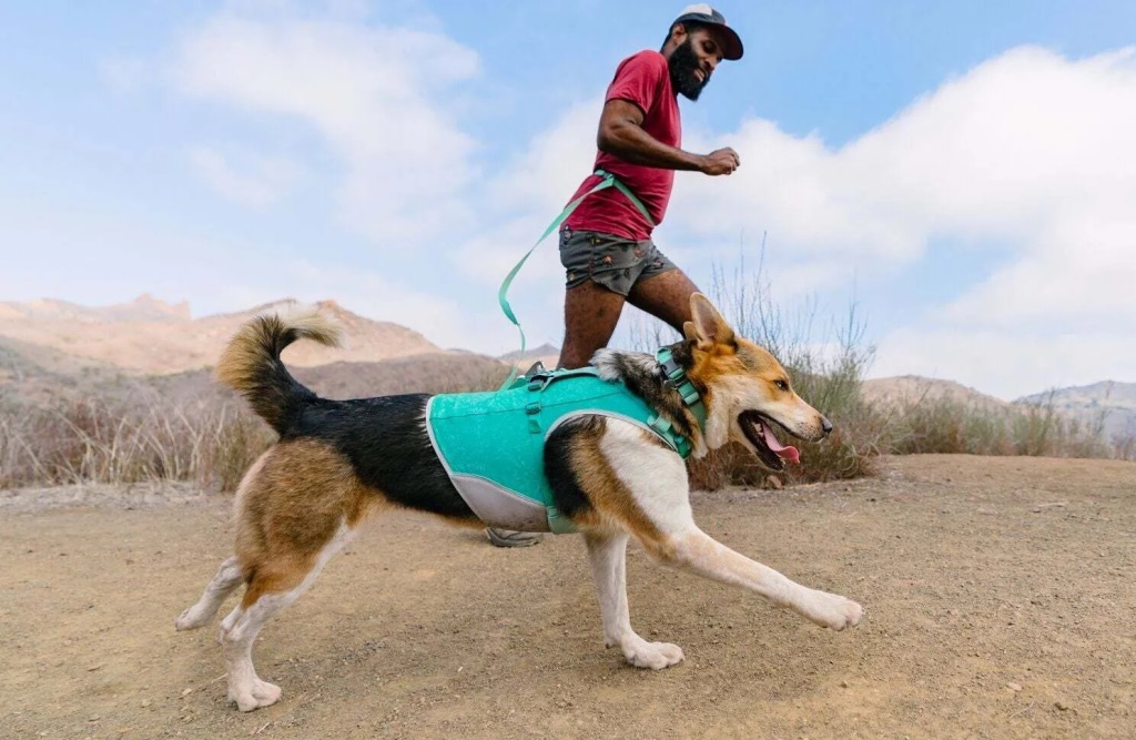 SALE] ラフウェア スワンプクーラージップベスト XXS 犬の暑さ対策に