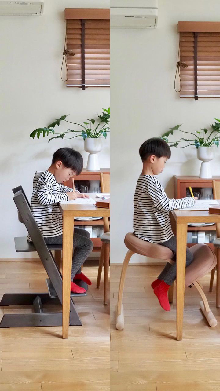 Balans EASY 高品質 バランスイージー Rybo社 バランスチェア リボ社