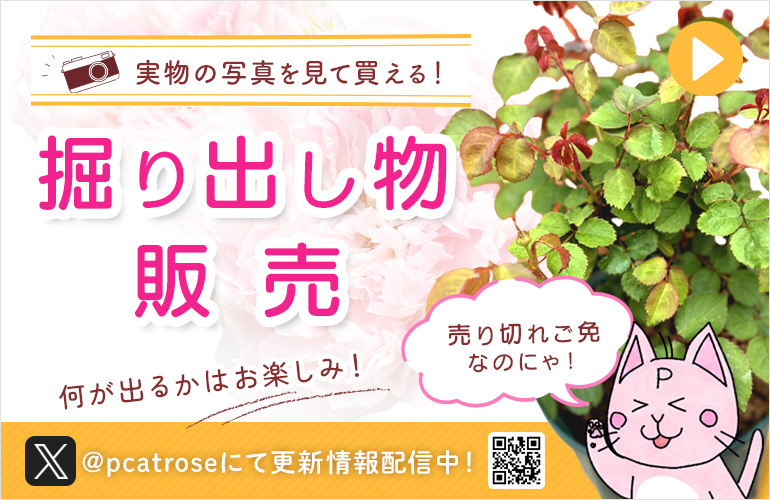 バラ売り、相談用 バラ売り相談用 バラ売り、相談用 dio zx バラ売り