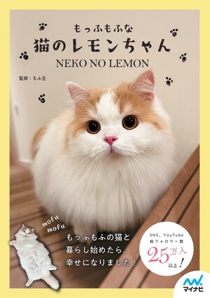 数量限定-】もっふもふな猫のレモンちゃん 特別セット | マイナビブックス