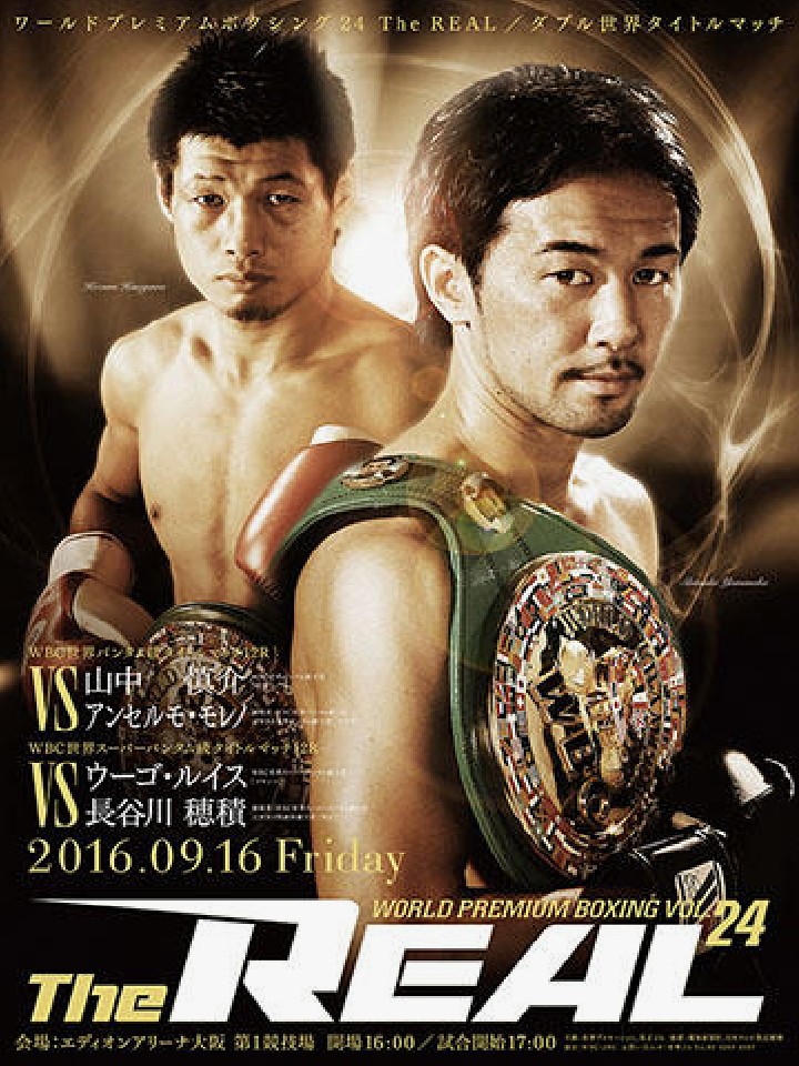 ボクシング ポスター 長谷川穂積vsウィラポン 長谷川穂積祝賀会 2枚